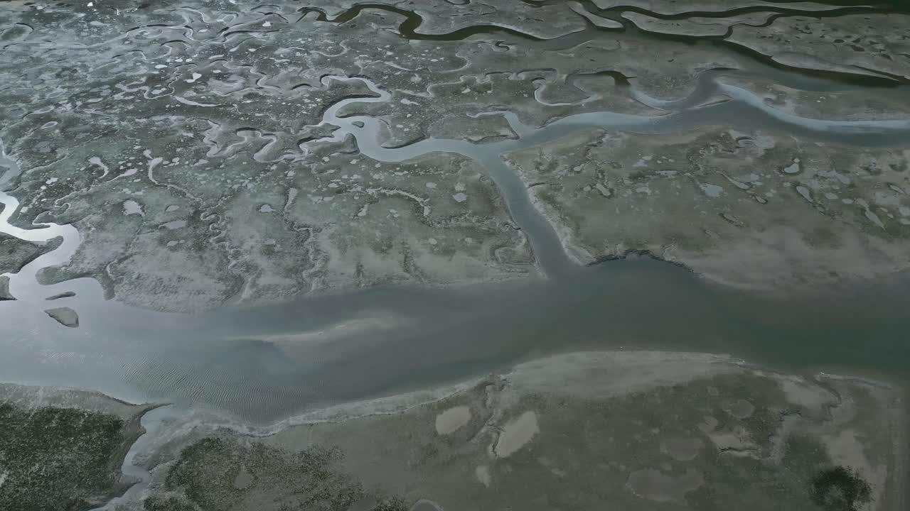 Aerial view of river estuaries amidst green woods in wetlands