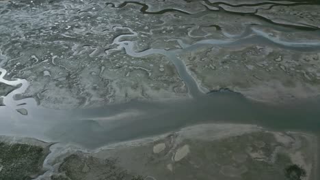 aerial view of river estuaries amidst green woods in wetlands