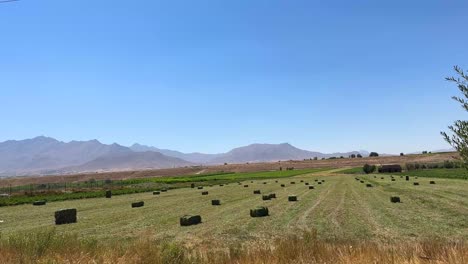 Heuballen-In-Der-Traditionellen-Landwirtschaft-In-Der-Sommersaison-In-Fruchtbaren,-Grünen-Hügeln-Im-Iran,-Naher-Osten,-Asien,-Traditionelles-Dorfleben,-Ländliche-Landschaft,-Einheimische,-Landwirte-Arbeiten-Auf-Dem-Feld,-Ackerland,-Fars