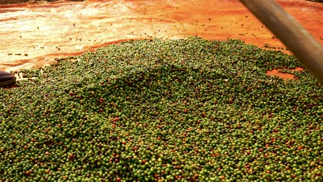 Close-up-of-a-rake-used-to-spread-and-dry-pepper-on-a-tarpaulin,-pepper-production-process