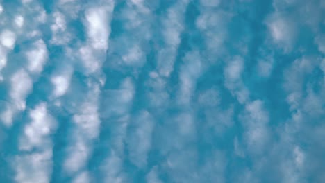 un hermoso lapso de tiempo desde abajo, surfando nubes blancas, cielo azul, sol diurno, video estático 4k