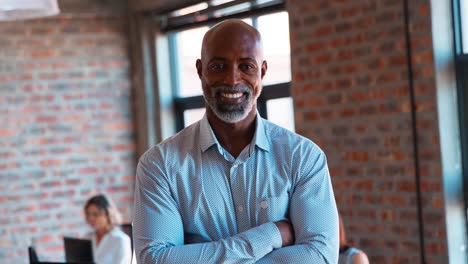 portrait of smiling mature businessman standing in busy office with colleagues working in background