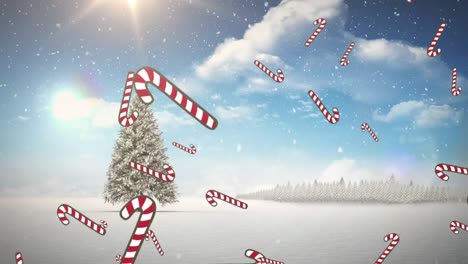 Multiple-candy-cane-icons-and-snow-falling-over-christmas-tree-on-winter-landscape-against-blue-sky