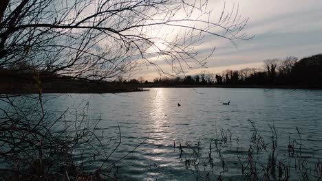 Foto-Fija-De-Una-Escena-Pacífica-De-Puesta-De-Sol-En-Un-Lago,-Con-Patos-Nadando-Alrededor