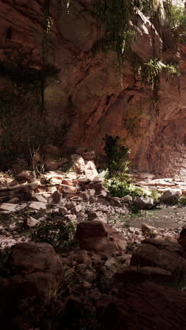 la entrada de la cueva misteriosa con vegetación exuberante