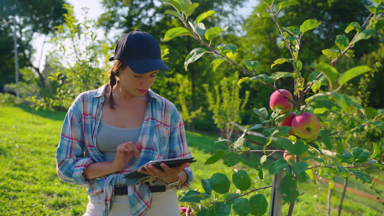 mujer inspeccionando árboles de manzana en el huerto