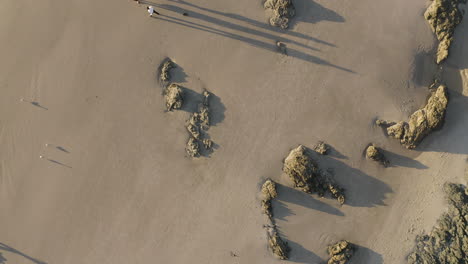 4k-Top-view-drone-shot-of-a-surfer-people-relaxing-on-the-beautiful-beach-at-Byron-Bay,-Australia