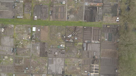 Top-down-aerial-of-communal-kitchen-garden-lots---drone-lifting-up