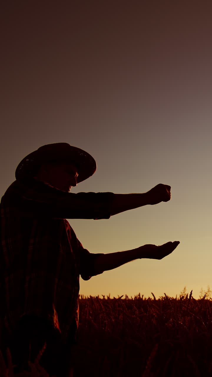 Farmer Sowing Seeds at Sunset