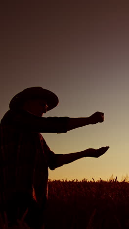 farmer sowing seeds at sunset