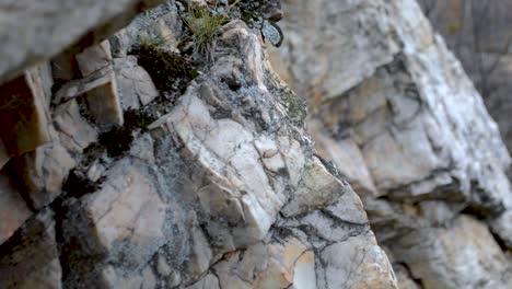 rocks in cold autumn weather