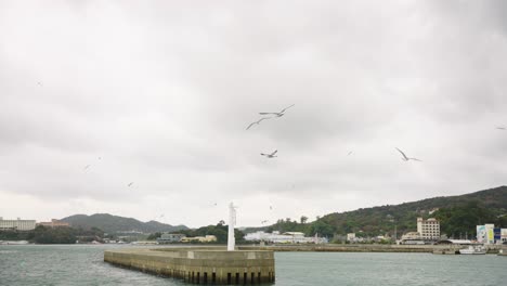 Revelación-De-La-Bahía-De-Toba-En-Un-Día-Nublado,-Gaviotas-Volando-En-El-Puerto-Antes-De-La-Tormenta-En-Japón