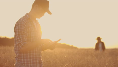 Smart-Farming-Mit-Modernen-Technologien-In-Der-Landwirtschaft:-Mann,-Agronom,-Bauer-Mit-Digitalem-Tablet-Computer-Im-Weizenfeld,-Mit-Apps-Und-Selektivem-Fokus-Im-Internet