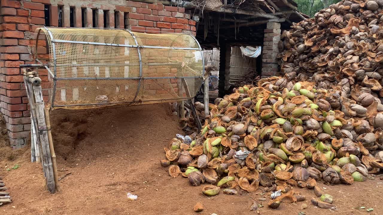 montones de coco crudo guardados cerca de la máquina de rejilla de coco para hacer colchones en la aldea india tradicional