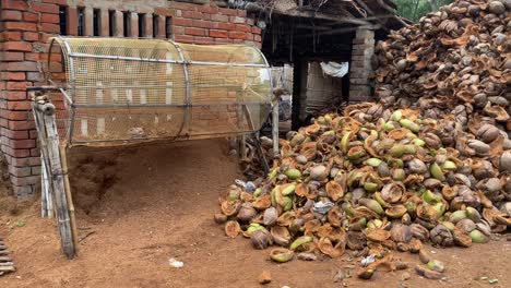 heaps of raw coconut kept near the coconut grate machine for making bed mattress in traditional indian village