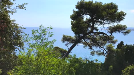 panoramic top sea and beach view on turquoise water and old nice city view in franc