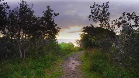 sendero de montaña con vistas al hermoso amanecer y al océano - playa de crescent head - sydney, nsw, australia
