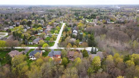 aerial shot in the spring flying away from houses in hamilton