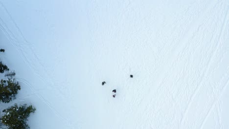 an aerial drone birds eye view shot moving upward while slowly rotating showing a group of people in the middle of a snowy clearing in the mountains during the winter