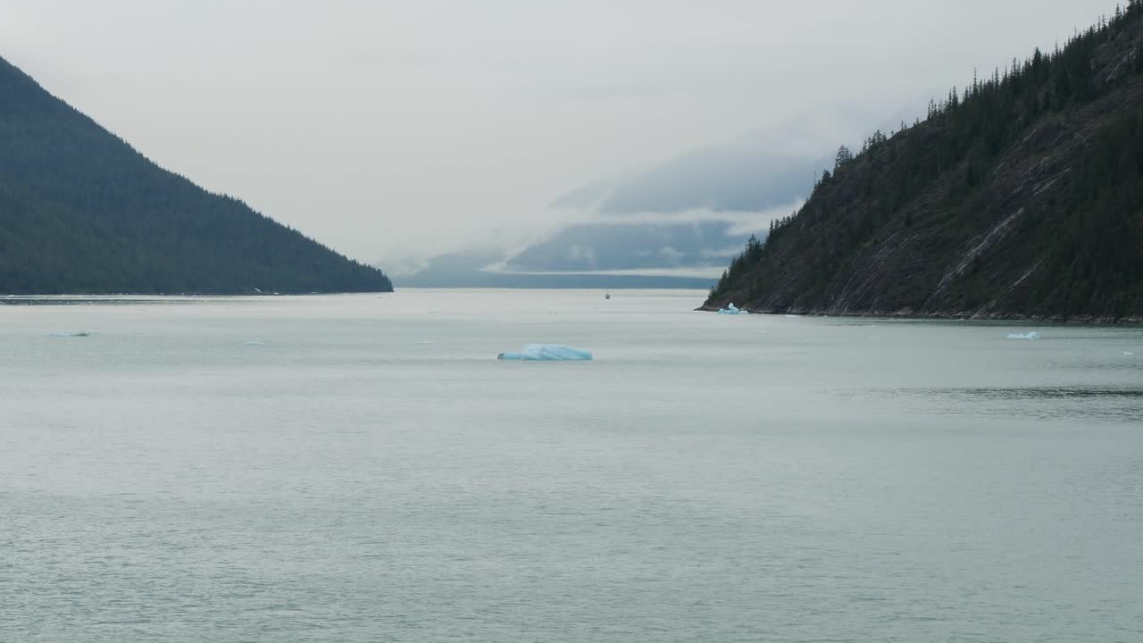Holkham Bay, entering Endicott Arm fjord, heading to Dawes Glacier, Alaska.