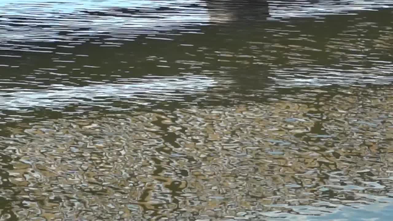 물 위의 슬로우 모션에 반영된 색상과 모양