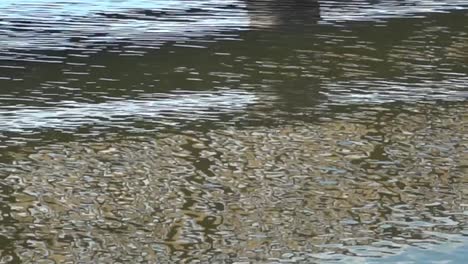 color and shape reflected in slow motion on water