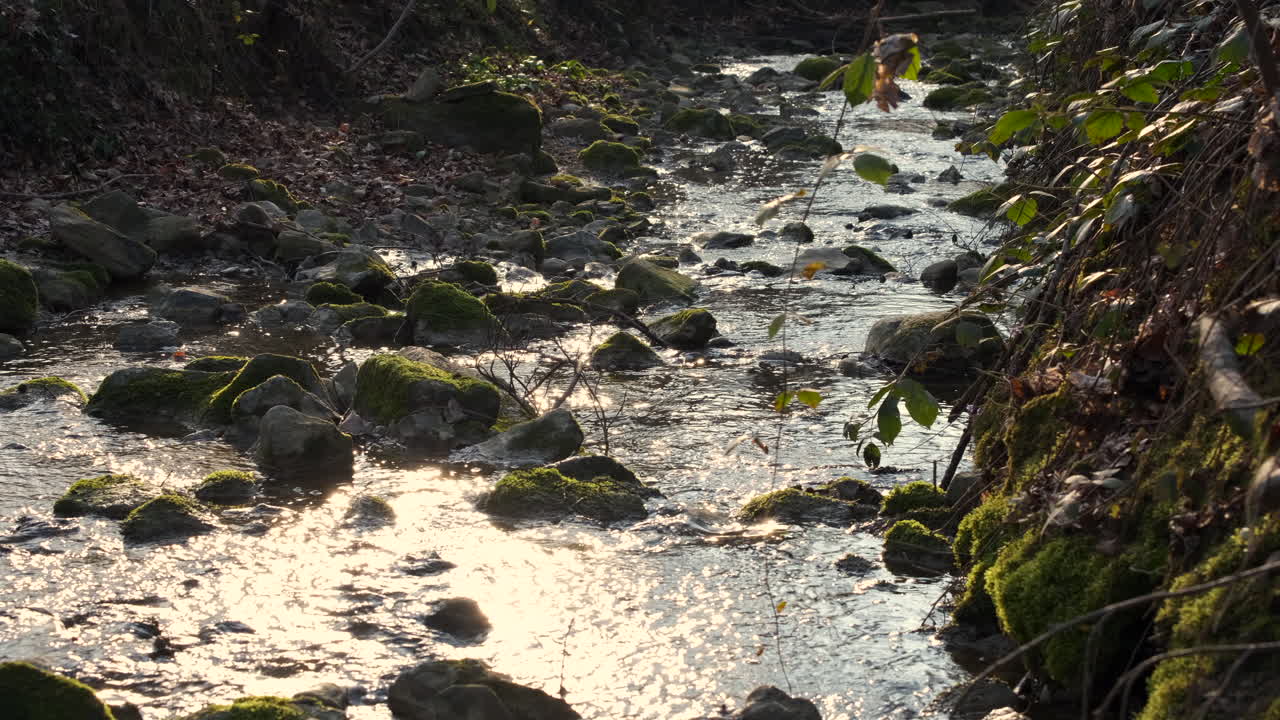 la luz del sol se refleja en la superficie de la corriente de agua