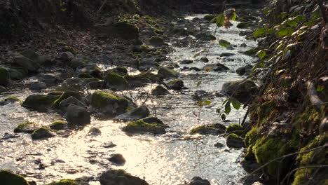 sunlight reflecting on water stream surface