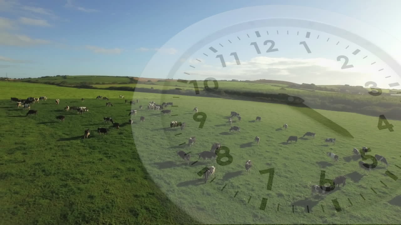 시계 와 소 들 이 있는  ⁇