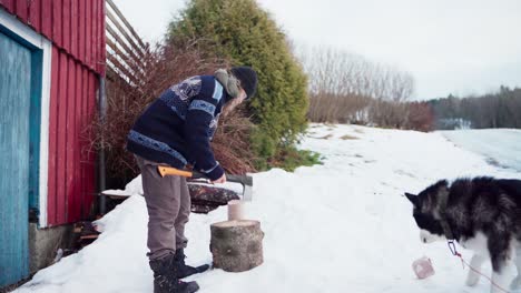 a man is splitting dried compacted briquette logs with an axe - static shot