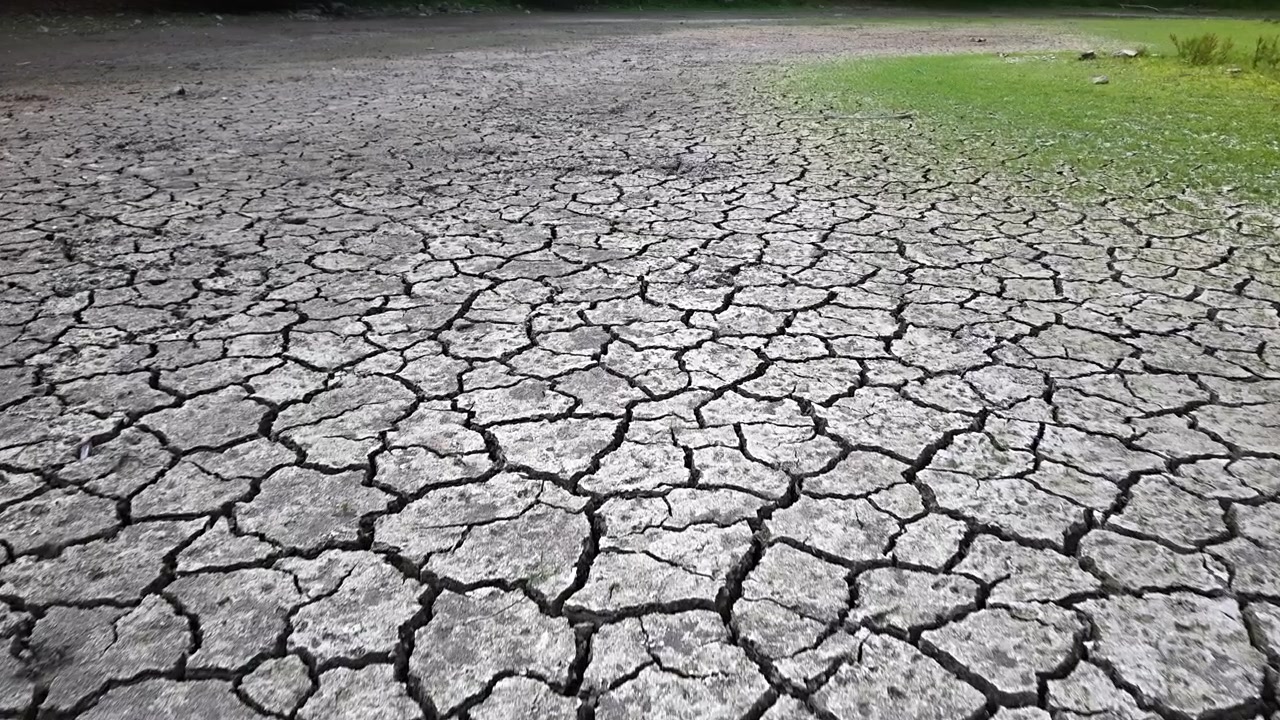 Terreno inaridito mostra profonde fessure nel suolo durante una grave siccità, evidenziando l'impatto ambientale del cambiamento climatico