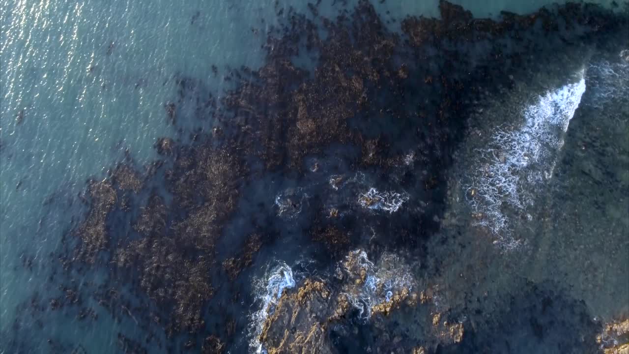 Sunlit Pacific ocean waves lap against rugged Palas Verdes seascape shore rocks top down aerial view