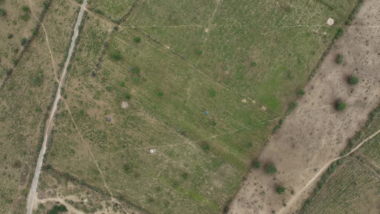 Aerial drone bird's eye view over ripe millet fields along rural countryside in Tharparkar, Pakistan on a cloudy day