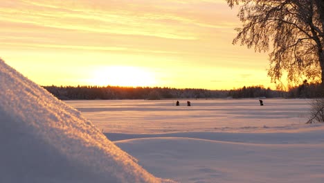 Tiro-De-Seguimiento-De-Personas-Pescando-En-Hielo,-En-Hielo-Cubierto-De-Nieve,-Al-Atardecer,-En-Una-Soleada-Tarde-De-Invierno,-En-Ostrobotnia,-Finlandia