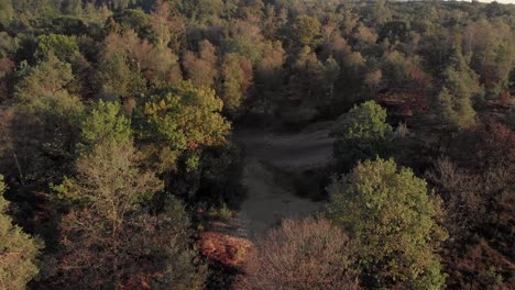 Antena-De-Un-Bosque-De-Páramos-Que-Revela-Una-Excavación-De-Arena-En-Medio-Del-Bosque