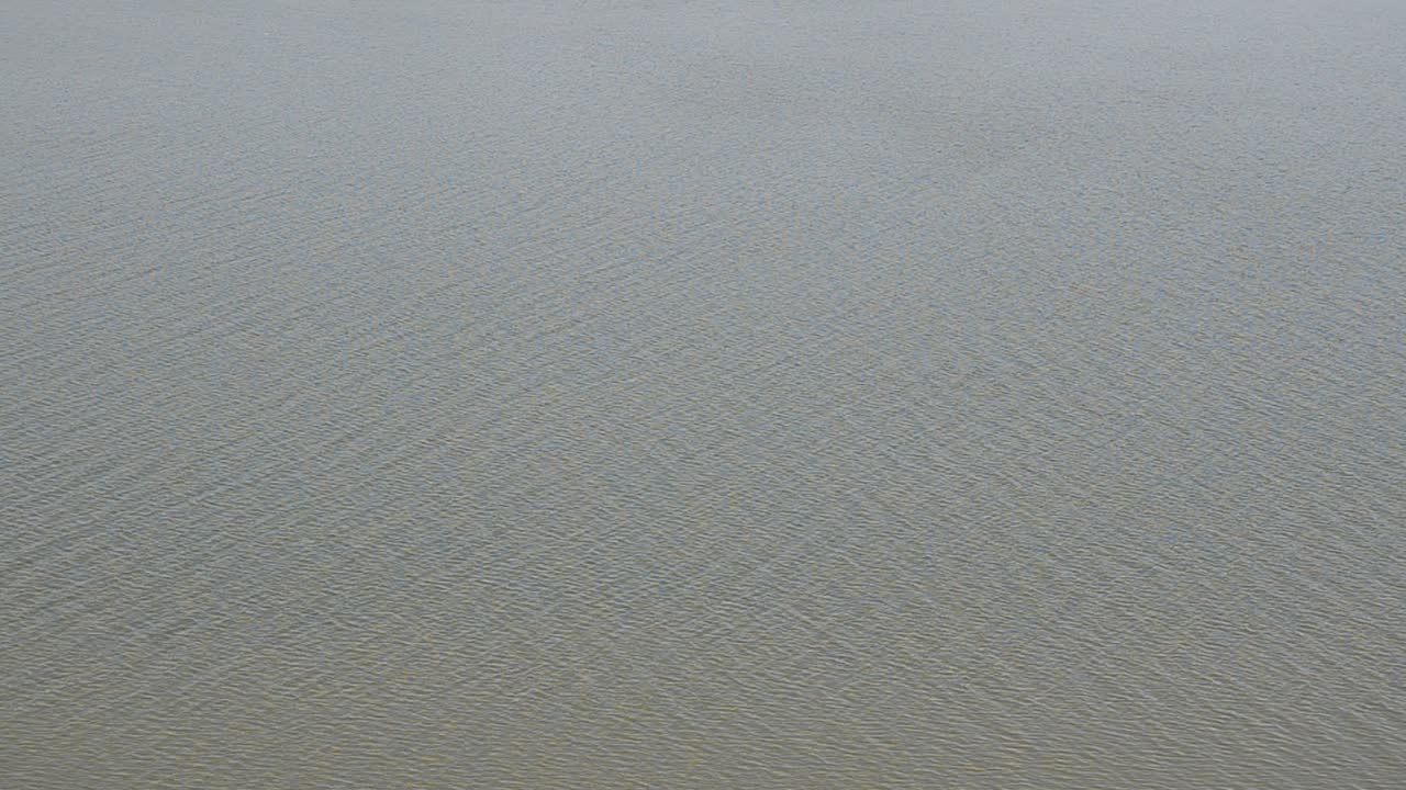 Shot of a calm River Dnister. Shooting in the summer