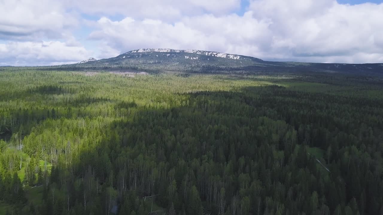 Mountainous Forest Landscape