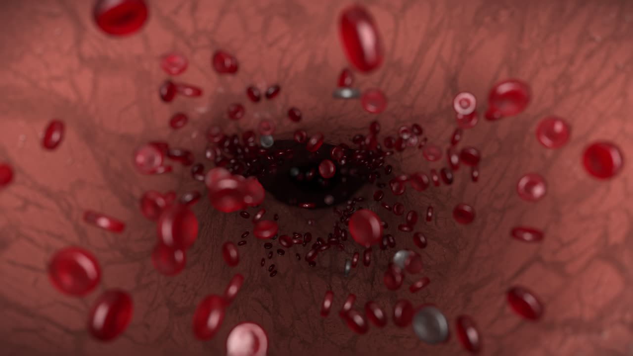 glóbulos rojos glóbulos blancos arterias glóbulos biología ciencias médicas médico 4k