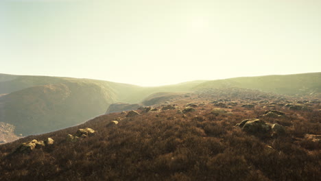 scenic mountain landscape with sparse vegetation