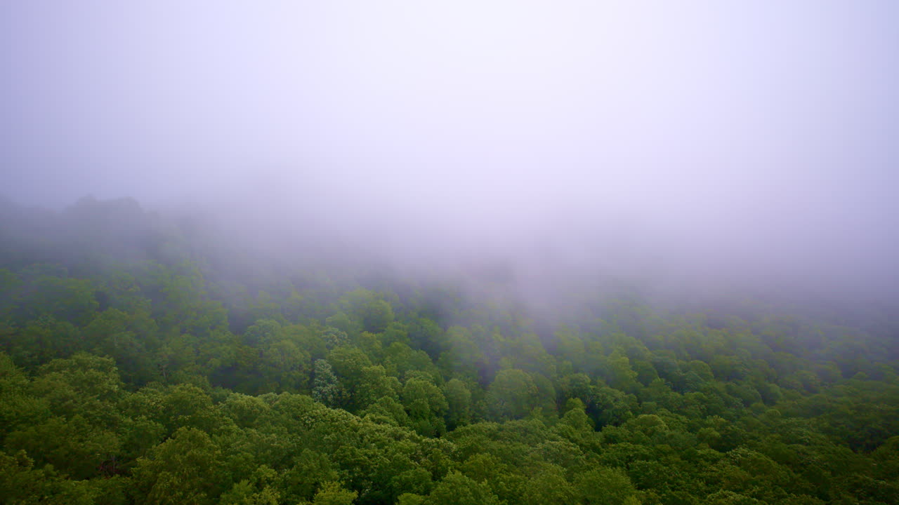 Cinematic drone movement through misty highlands