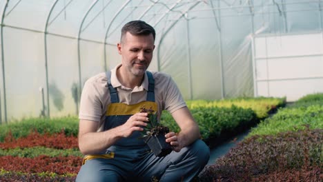 Male-caucasian-botanist-in--greenhouse-browsing--plants-seedling