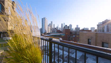 wide shot of the downtown chicago skyline with plants in the foreground