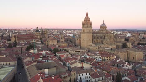 breathtaking bird's eye view of the cathedral of salamanca, spain at afternoon.