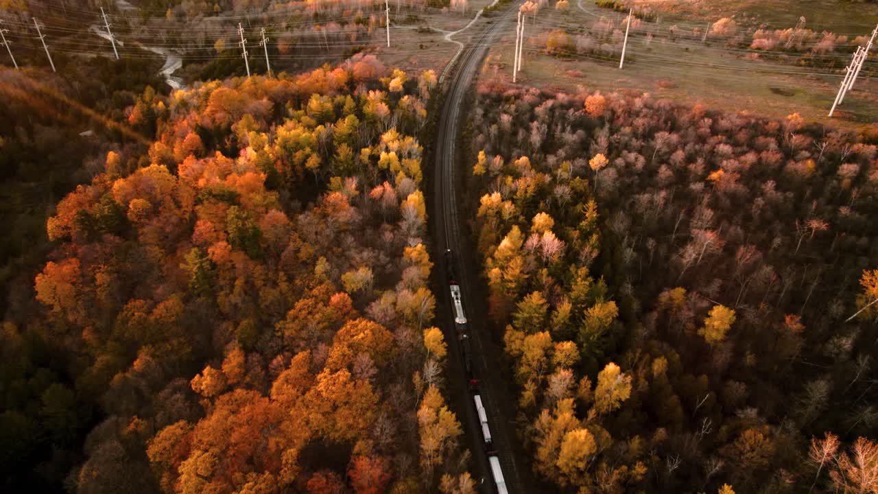 tren de carga viaja a través de un corredor de otoño vibrante junto a un río, vista aérea de otoño vibrante, canadá