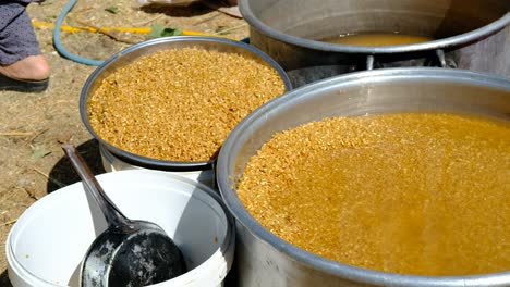 Traditional-wheat-cleaning