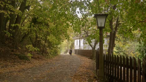 Happy-female-musician-walks-autumn-leafy-forest-lane-Bulgarian-village