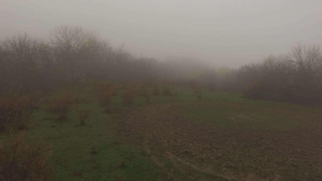 paisaje rural con niebla