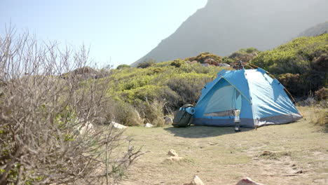 camping in blue tent on mountain hike, surrounded by nature and greenery