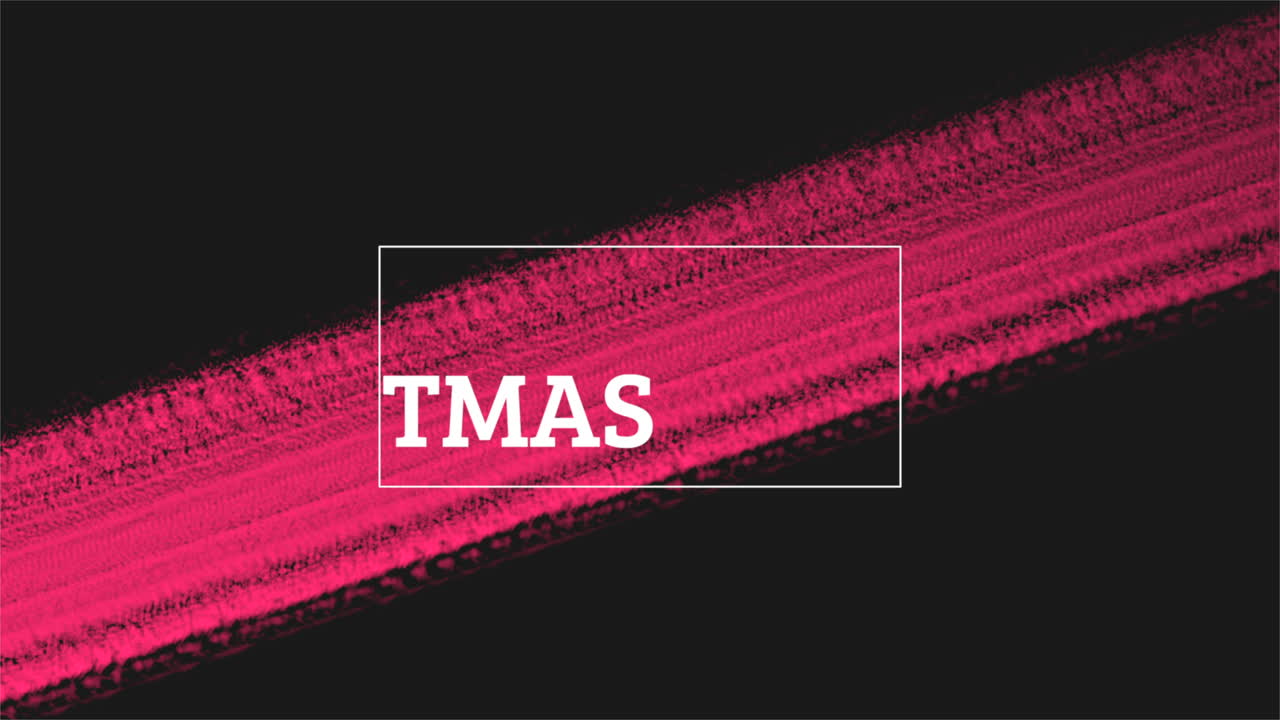 검은 배경에 빨간색 브러시로 메리 크리스마스