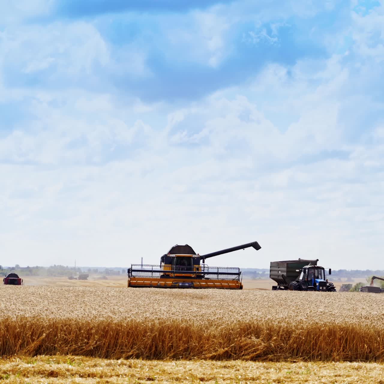Agricultural machinery during seasonal works. Combine harvester and tractor working on the field in the countryside in a bright summer day.